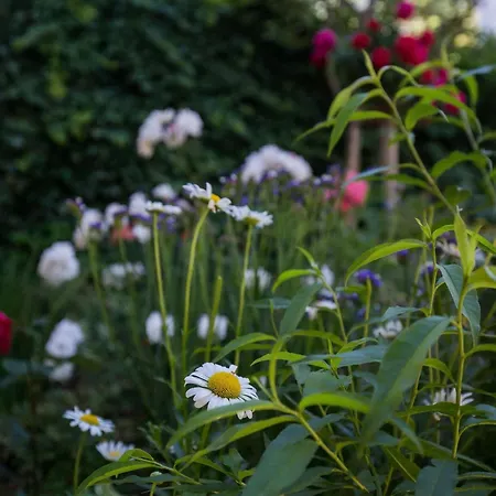 Dubravka - Premium One Bedroom With Balcony And Sea View 5 Apartman