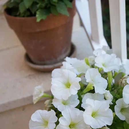 Apartman Dubravka - Premium One Bedroom With Balcony And Sea View 5 *