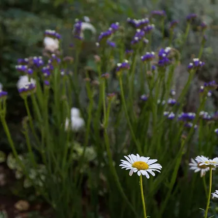 Dubravka - Premium One Bedroom With Balcony And Sea View 5 * Mlini