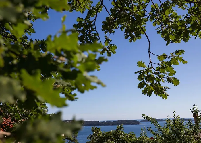 아파트 Dubravka - Premium One Bedroom With Balcony And Sea View 5 믈리니