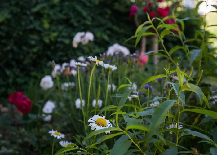 Dubravka - Premium One Bedroom With Balcony And Sea View 5 아파트