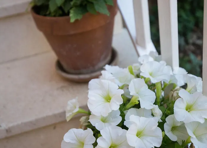 아파트 Dubravka - Premium One Bedroom With Balcony And Sea View 5 *