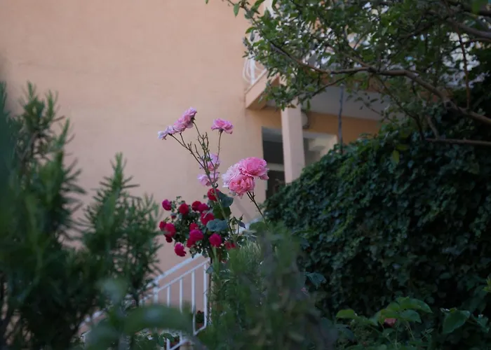 Dubravka - Premium One Bedroom With Balcony And Sea View 5 *